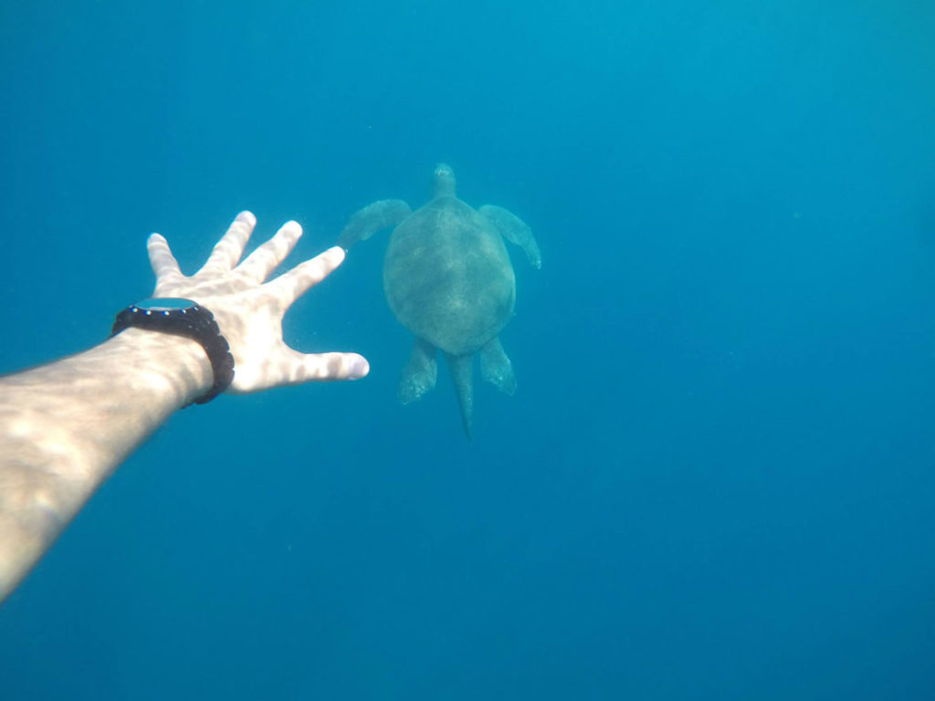 Prof. Dr. Mehmet Emin Sakarya, Dr. Mehmet Emin Sakarya, Mehmet Emin Sakarya, Mehmet Emin Sakarya Radyoloji, Mehmet Emin Sakarya Özgeçmiş, Mehmet Emin Sakarya Haberler, Akademisyen, Prof, Dr, Mehmet, Emin, Sakarya, Profesör, Doktor, Mehmet, Emin, Sakarya, Radyoloji Uzmanı